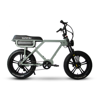 Flash LITE – Fat Tyre Electric Bike