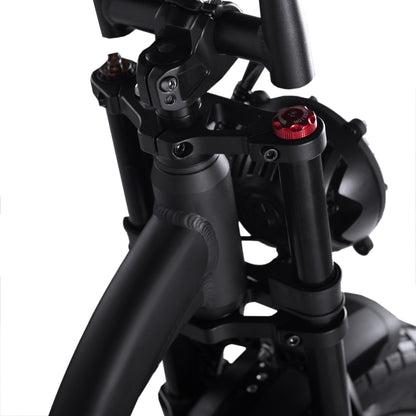 EMD Fluence StepThru 1.0 Electric Bike