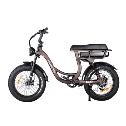EMD Fluence StepThru 1.0 Electric Bike