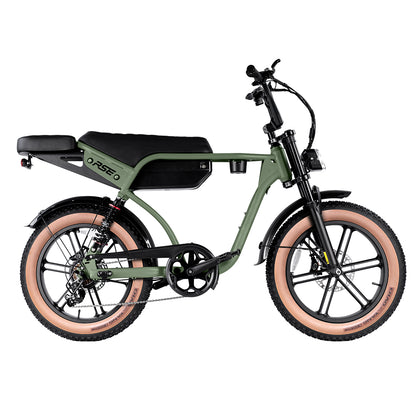 RSE CheekyBoy 1.0 Electric Bike