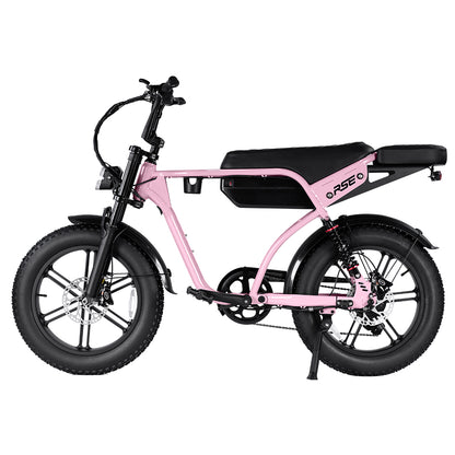 RSE CheekyBoy 1.0 Electric Bike