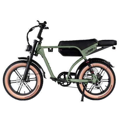 RSE CheekyBoy 1.0 Electric Bike