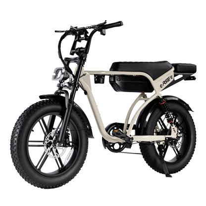 RSE CheekyBoy 1.0 Electric Bike