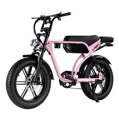 RSE CheekyBoy 1.0 Electric Bike