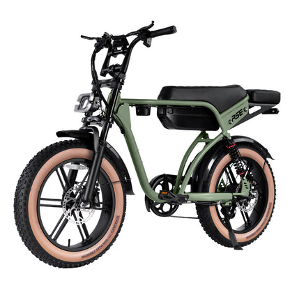 RSE CheekyBoy 1.0 Electric Bike