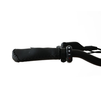G30-Cargo – Long Range Electric Bike