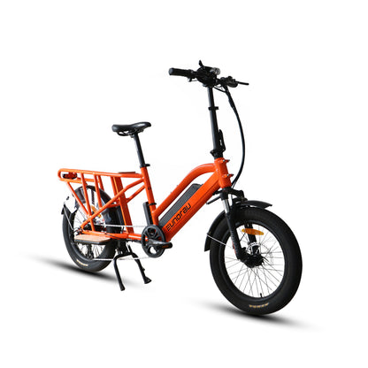 G30-Cargo – Long Range Electric Bike