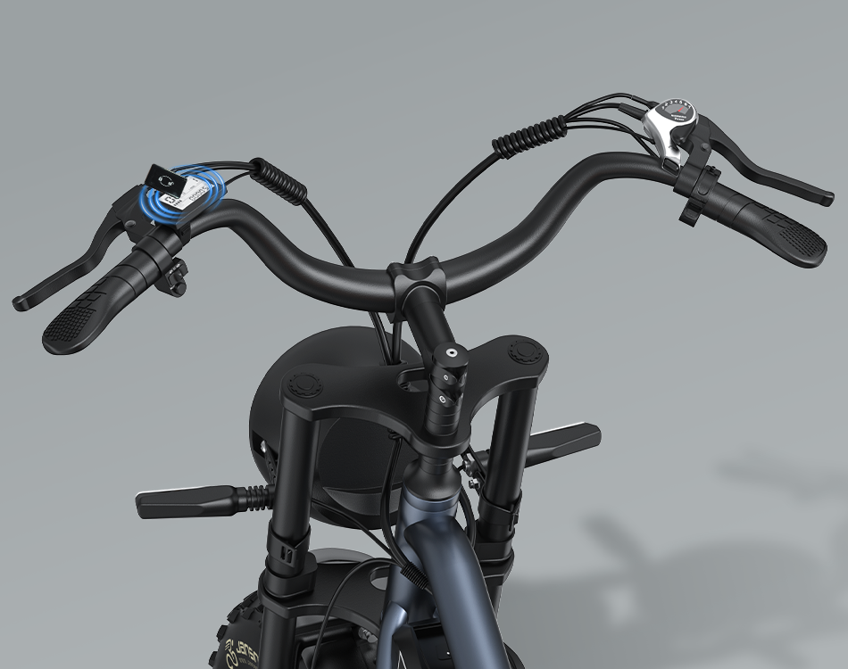 X50 Classic Electric Bike